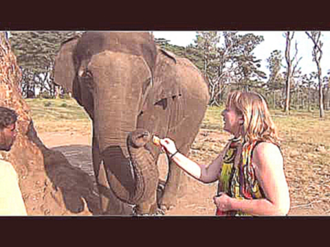 Индия. Лагерь для слонов.  Dubare Elephant Camp