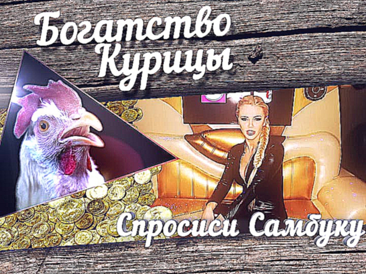 Богатство Курицы: Спроси Самбуку. Совет №1 