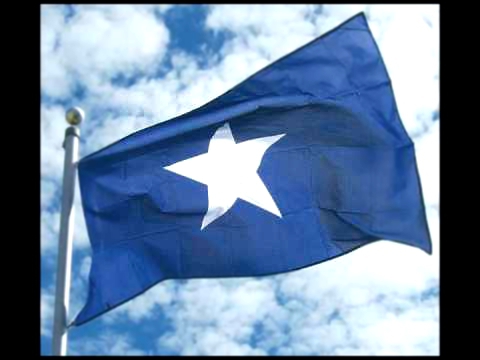 Bonnie Blue Flag 