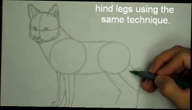 Как научиться рисовать лисицу