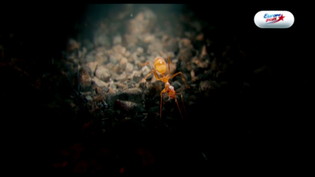 Человек-муравей - Русский трейлер HD