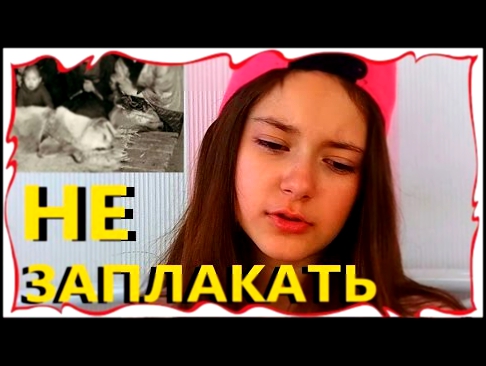 Попробуй НЕ Заплакать ЧЕЛЛЕНДЖ// Тест на психику //НЕ ЗАПЛАЧЬ// TRY NOT TO CRY CHALLENGE