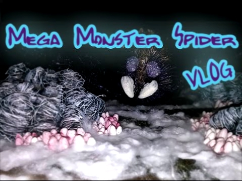 MEGA SPIDER Update VLOG 35