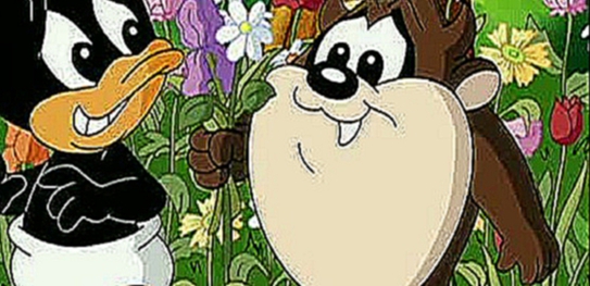 Les baby looney tunes le pouvoir des fleurs 