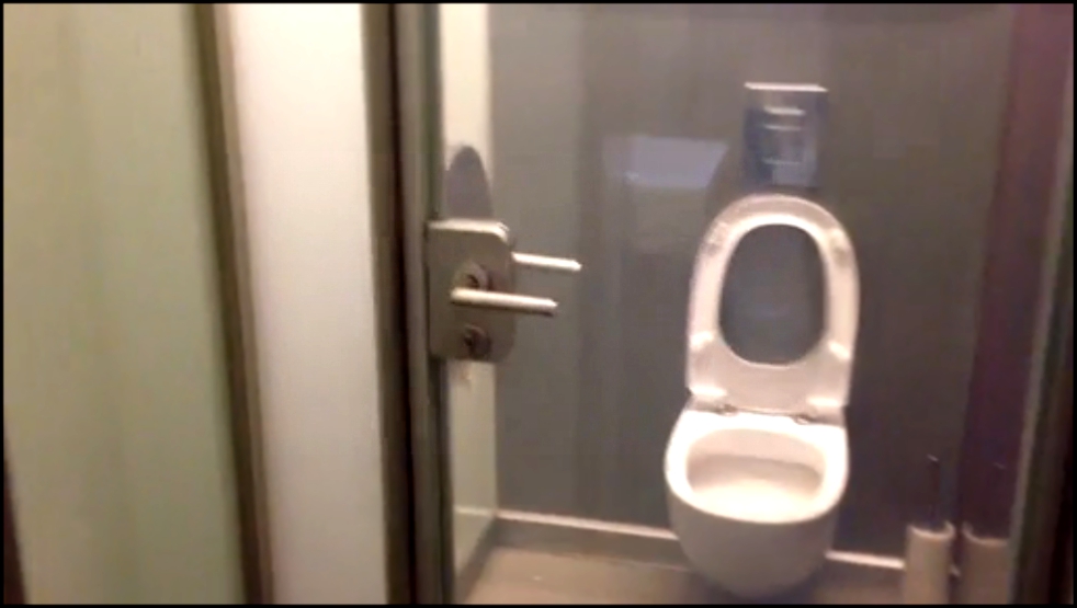 Прозрачная дверь в туалет в кафе Diglas в Вене