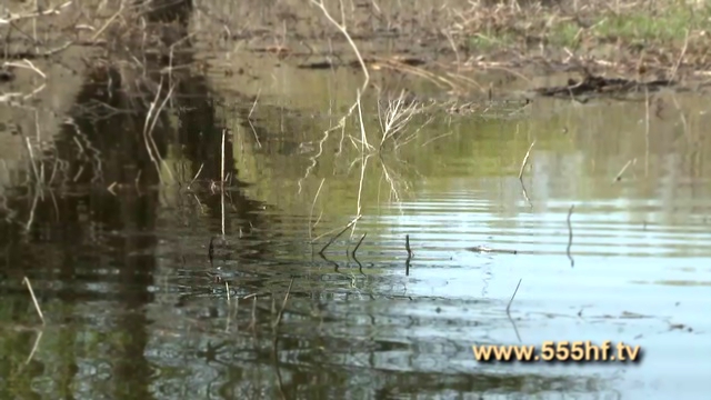 Рыбалка. Лов щуки по большой воде. Волжские ильмени. 