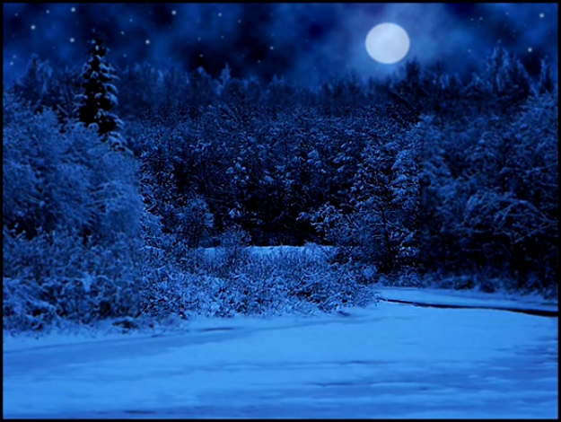 В лунном сиянии снег серебрится (Динь-динь-динь) - Юлия Боголепова 
