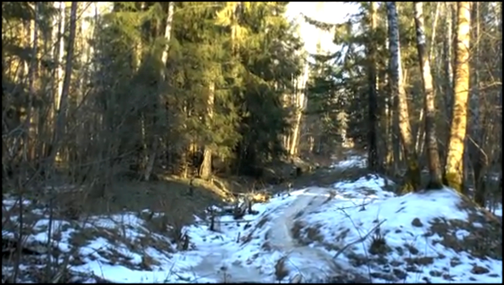 Весна в национальном парке "Лосиный остров" (2014). 