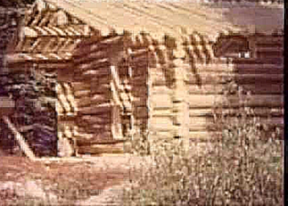 2 Один в Дикой Природе или основы строительства деревянного дома