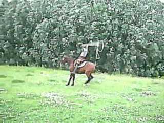 [269]Лошадь прыгает через скакалку