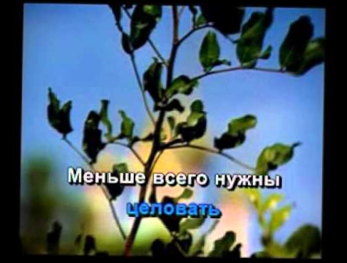 Караоке ► Русские Песни ♫   Привет ромашки ♫ Karaoke 