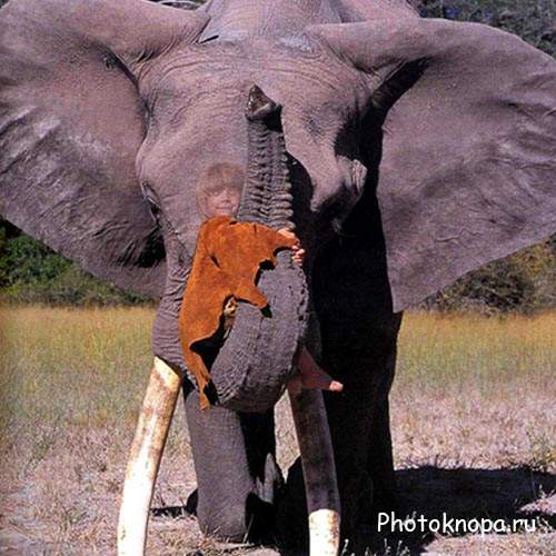 добрый слоник - поход в магазин