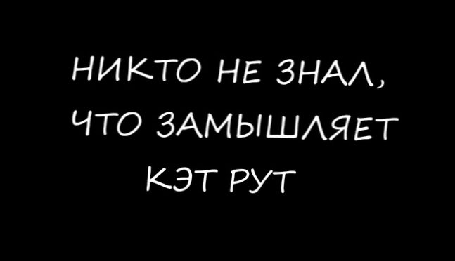 Кадры из жизни кошки №3. Кэт Рут и камера?! :D 