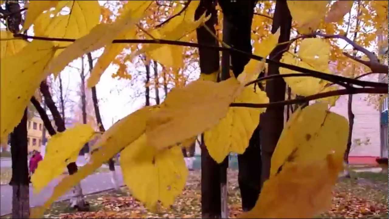 Eric Clapton - Autumn Leaves (Осенние листья)