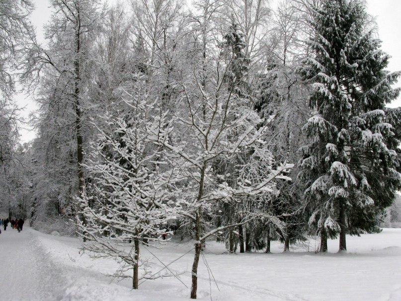 Гансэлло - Перестали