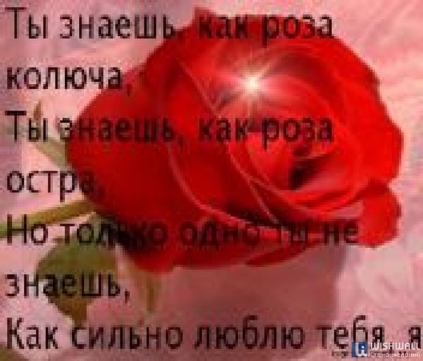 Любимая для тебя) - Люблю очень сильно тебя .Солнышко мое не могу без теяб)мне с тобой хорошо. Ты мое щастье))0