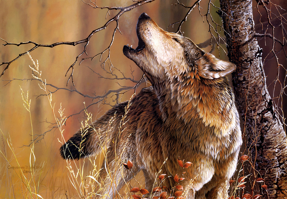 Одинокая волчица - Одинокая волчица