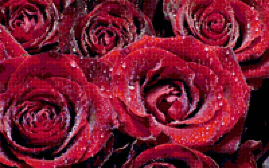 Алина Рябых - Розы темно-алые