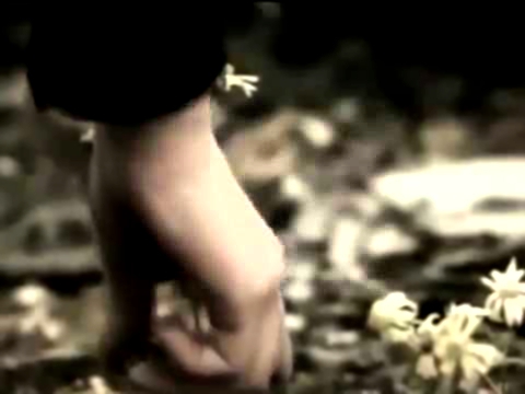 Fuoco nel vento - Adriano Celentano 2011- Video editing Lasha Khutiasvili.mp4 