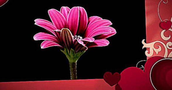 Happy Valentine's Day 2012 