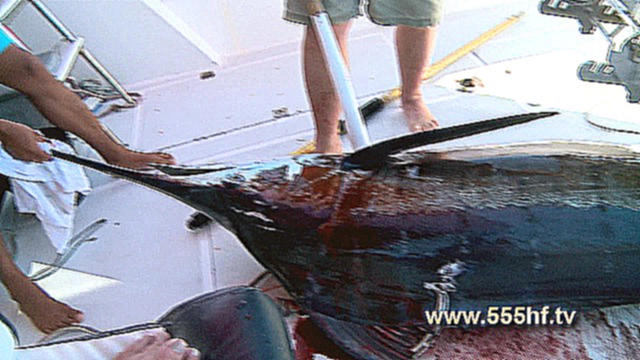Морская рыбалка. Голубой марлин на 145 кг. Маврикий. Часть 2. 