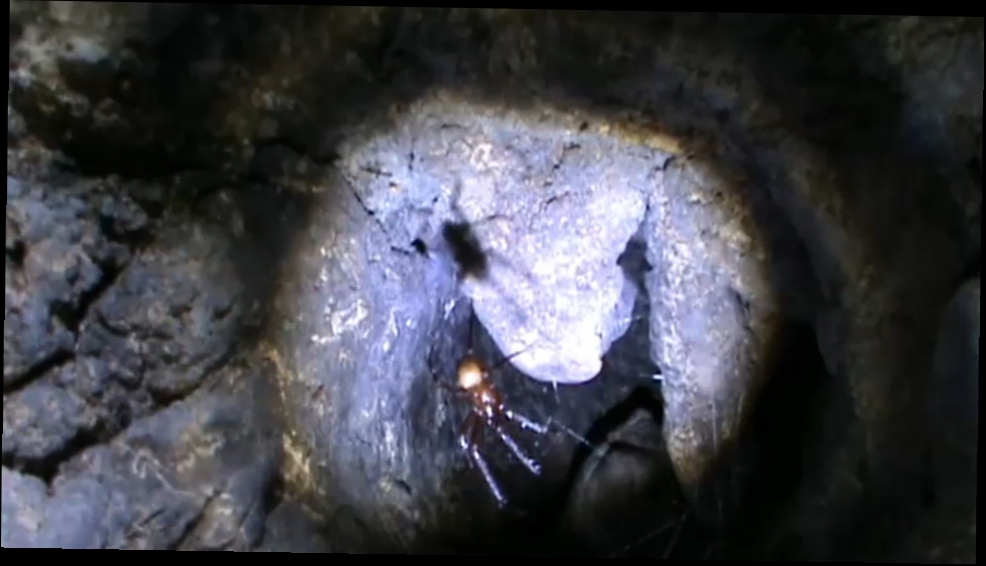 Пещера Ени-Сала 3 | Экстрим тур | Крым 