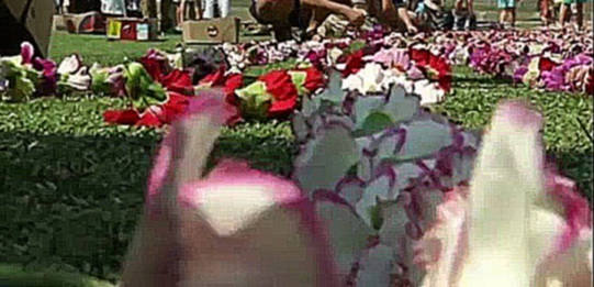 В США создали самый длинный в мире цветочный венок