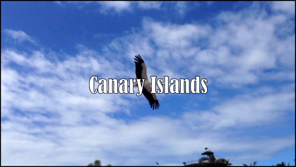 Canary Islands/Жить в Кайф 2013 