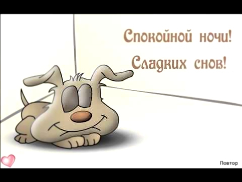 Спокойной ночи! Сладких снов 