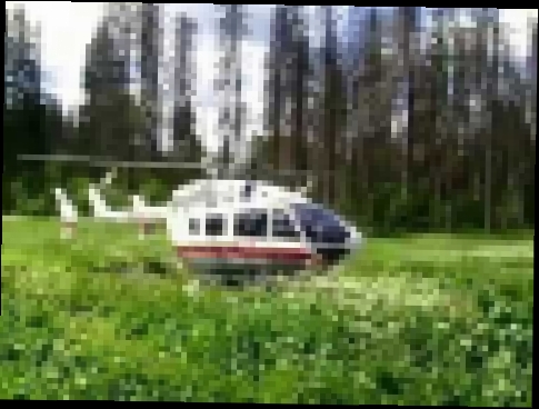 Вертолет МЧС в лесу рядом с пос. Шишкин лес