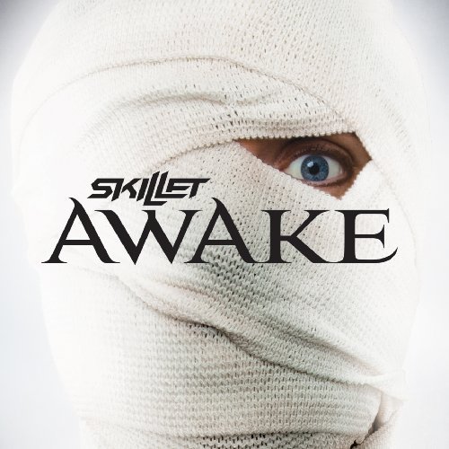 Песня той бони и той чика - Я Живой (Skillet - Awake and alive (Cover))