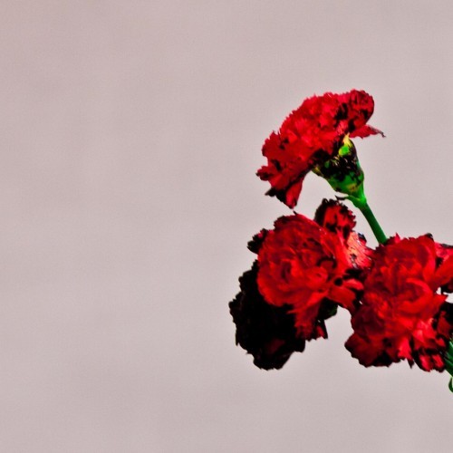 John Legend - All Of Me [Deluxe Edition]