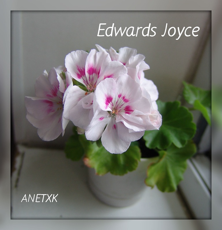 Joyce Edwards - Разлюбила