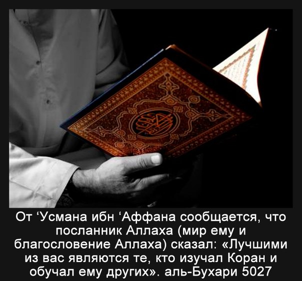Koran - Чтение Корана