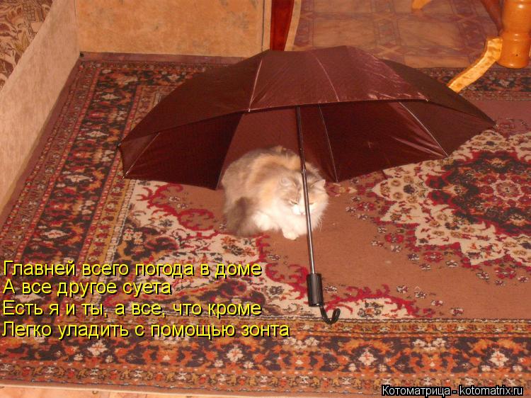 С помощью зонта