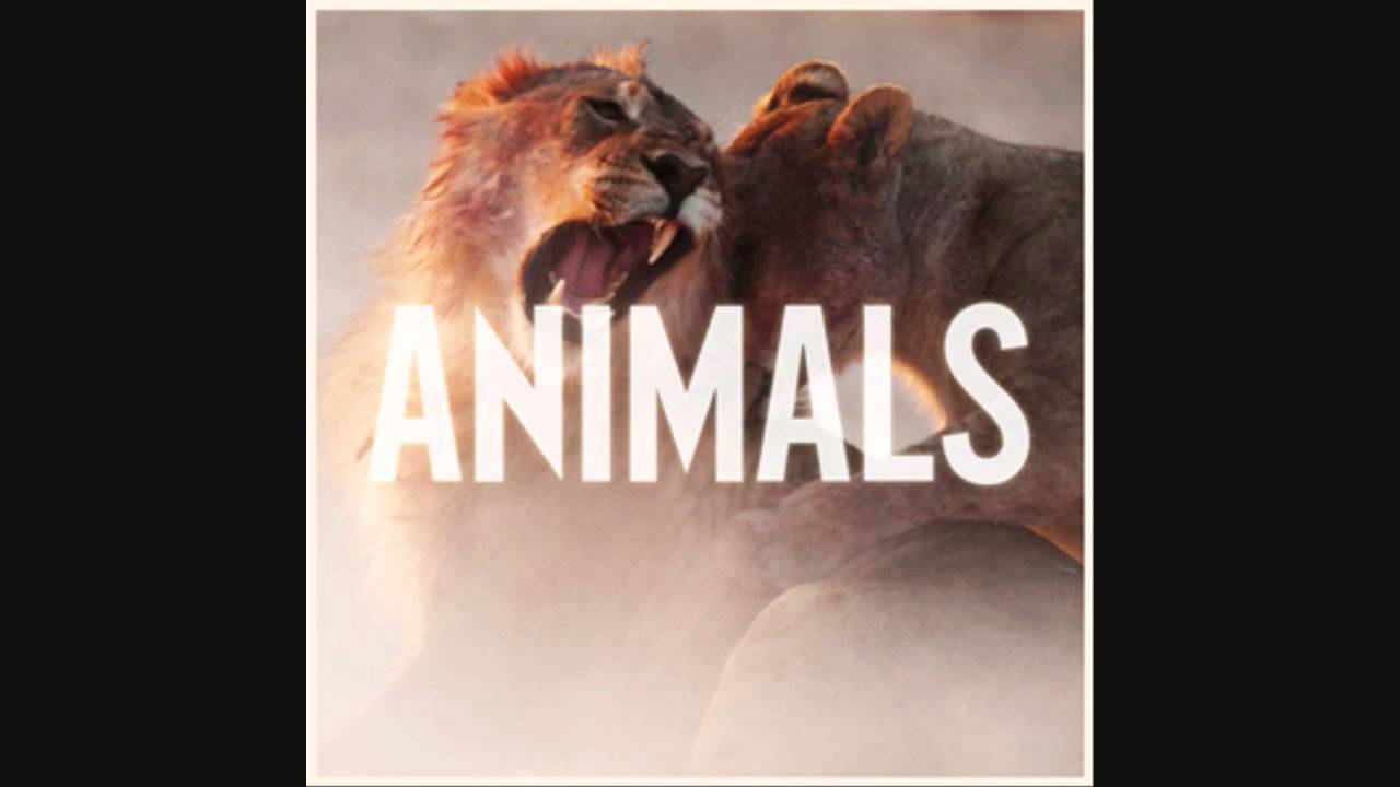 Maroon 5 - Animals минус