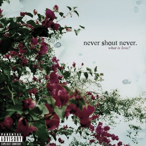 Never Shout Never - What is love?