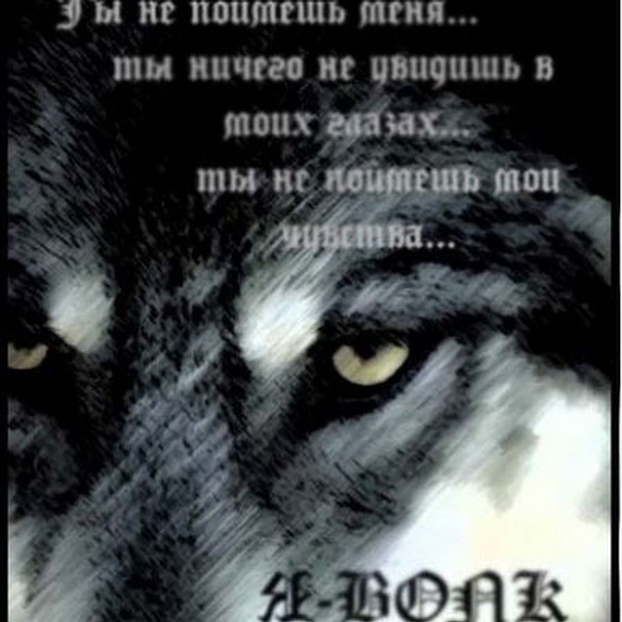 Одинокий волк - Моё сердце бьется до тех пор  Пока я знаю, что ты любишь меняAlinkoy