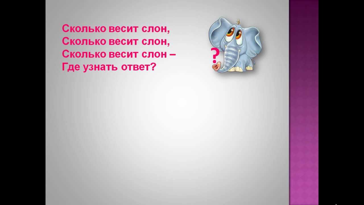 Сколько весит слон песня. Песня про интернет. Песенка про интернет детские. Песня про интернет для детей. Сколько весит слон Фиксики.