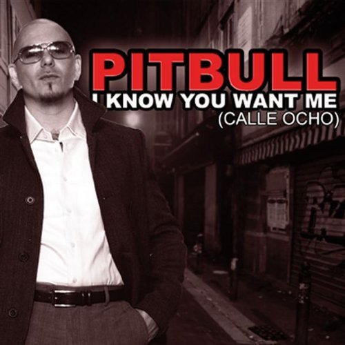 Pitbull - I Know You Want Me