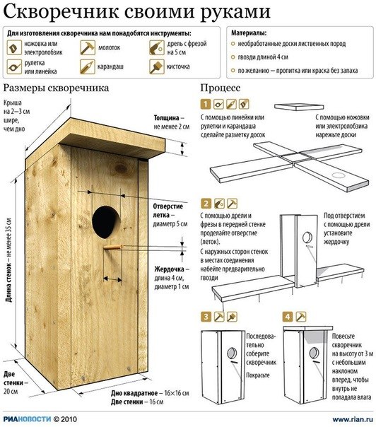 Скворцы Степанова - зарядка соседний мир 2012