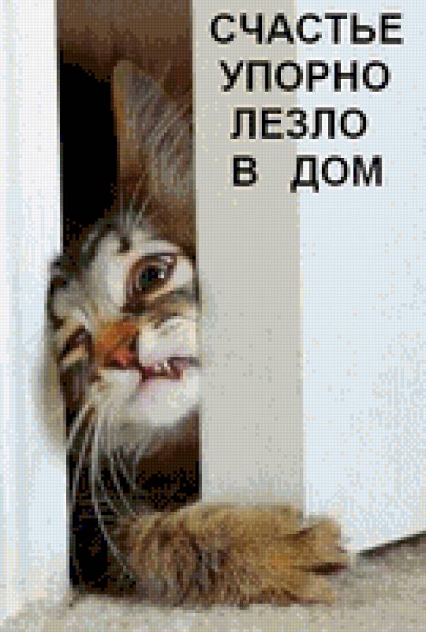 Валли_Ф - Про кота (автор Ульянова Ира)